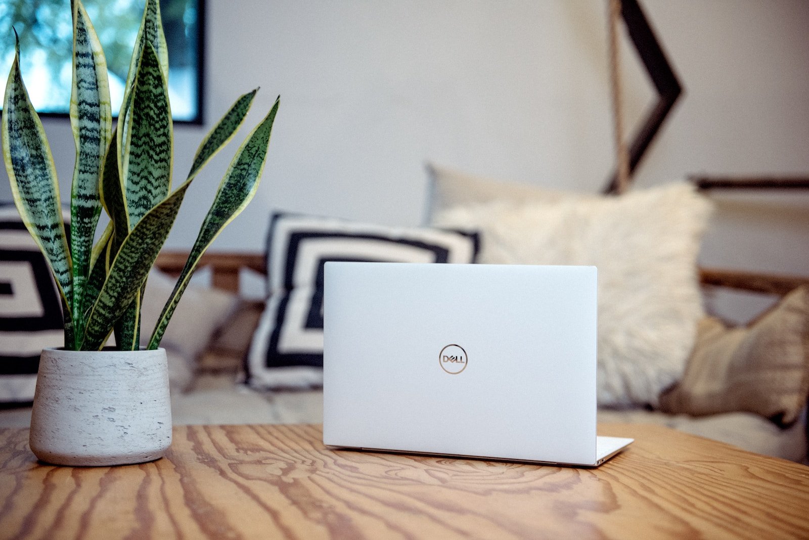 dell laptop